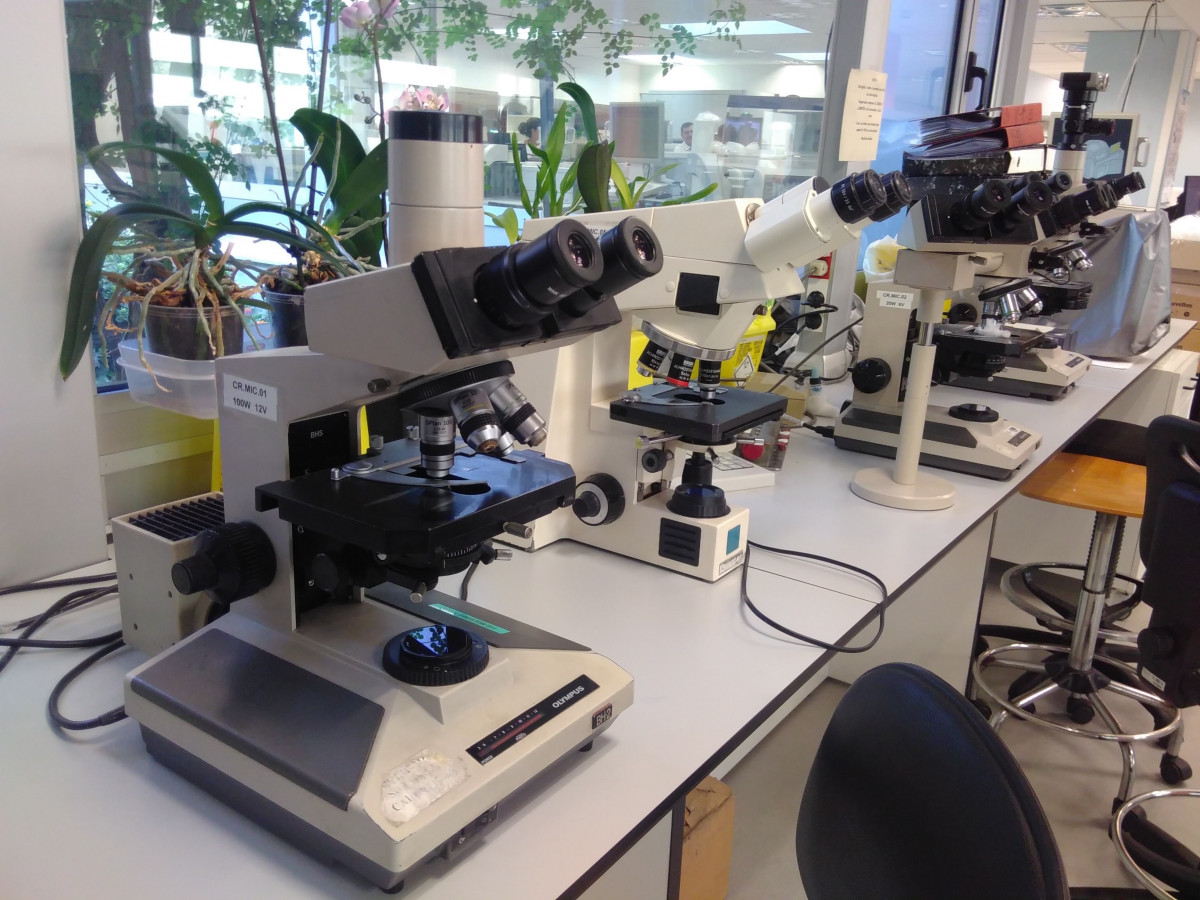 El laboratori és el major generador de informaciu00f3n de l'activitat assistencial, segu00fan la SEQC