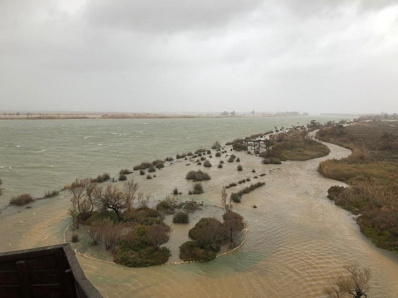 Delta de l'Ebre