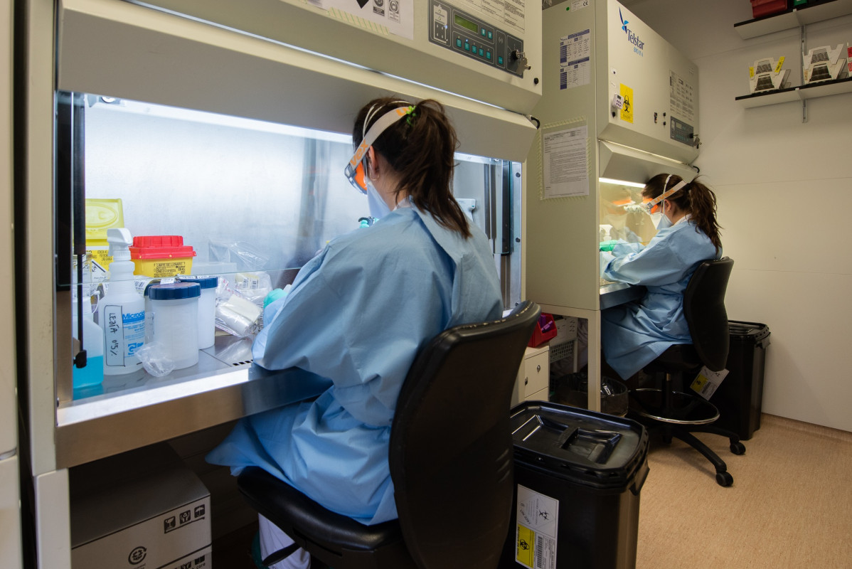 Servei de Virologia de el Servei de Microbiologu00eda de l'Hospital Clu00ednic on es realitzen proves de l'coronavirus