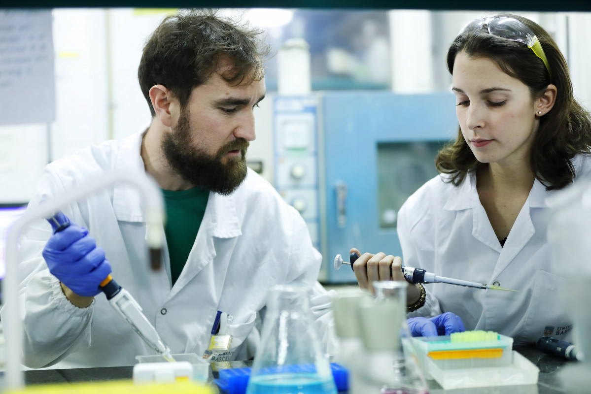 Investigadors de el programa CaixaImpulse