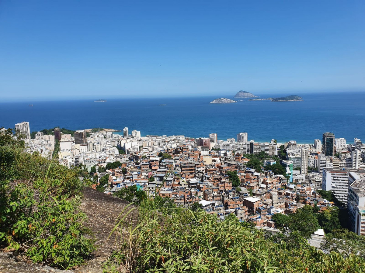 Pavão Pavãozinho