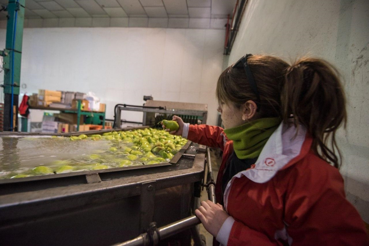 Treballador indústria alimentària