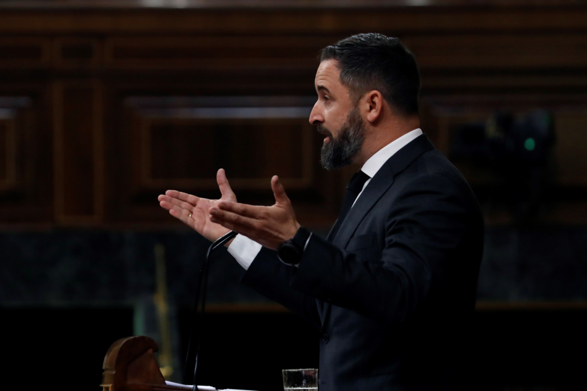 El líder de Vox, Santiago Abascal, durant la seva intervenció en el ple de Congrés