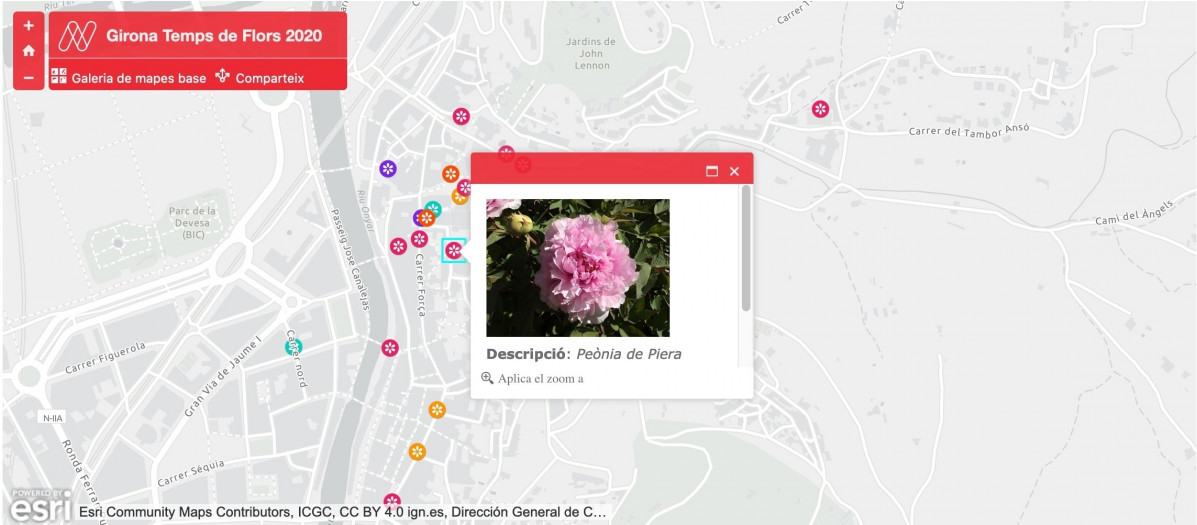 Mapa virtual llançat per celebrar Temps de Flors durant el coronavirus