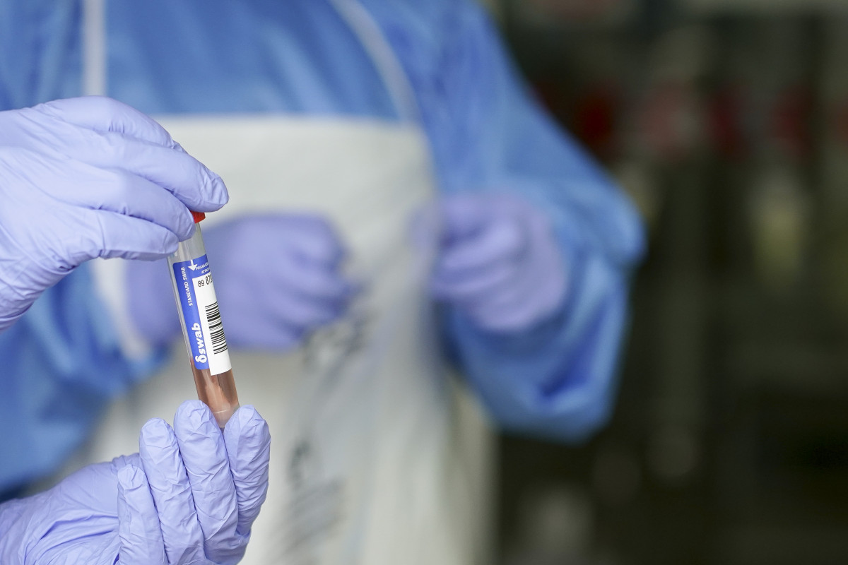 Un sanitari protegit amb guants sosté un mostra per a realitzar una Anàlisi PCR en un local de Diputació de Biscaia, on recullen mostres de treballadors funcionaris que han donat positiu en Covid-19 o han estat en risc de donar-lo