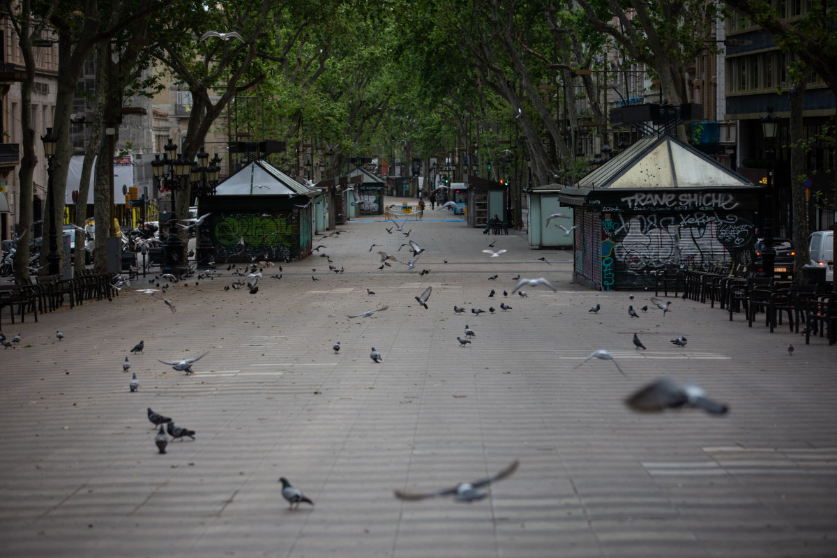La Rambla de Barcelona de dia buida un dia marcat per la festivitat de Sant Jordi, que a diferència d'altres anys, aquest no es pot celebrar amb normalitat. Barcelona, Catalunya, (Espanya), a 23 d'abril de 2020.