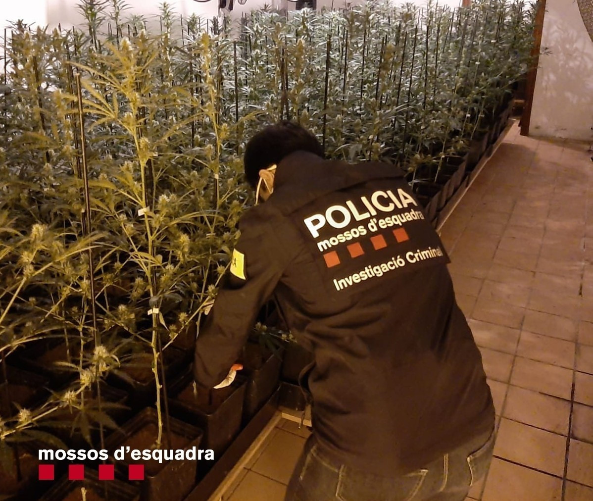 Un agent dels Mossos d'Esquadra durante l'Operatiu de este divendres