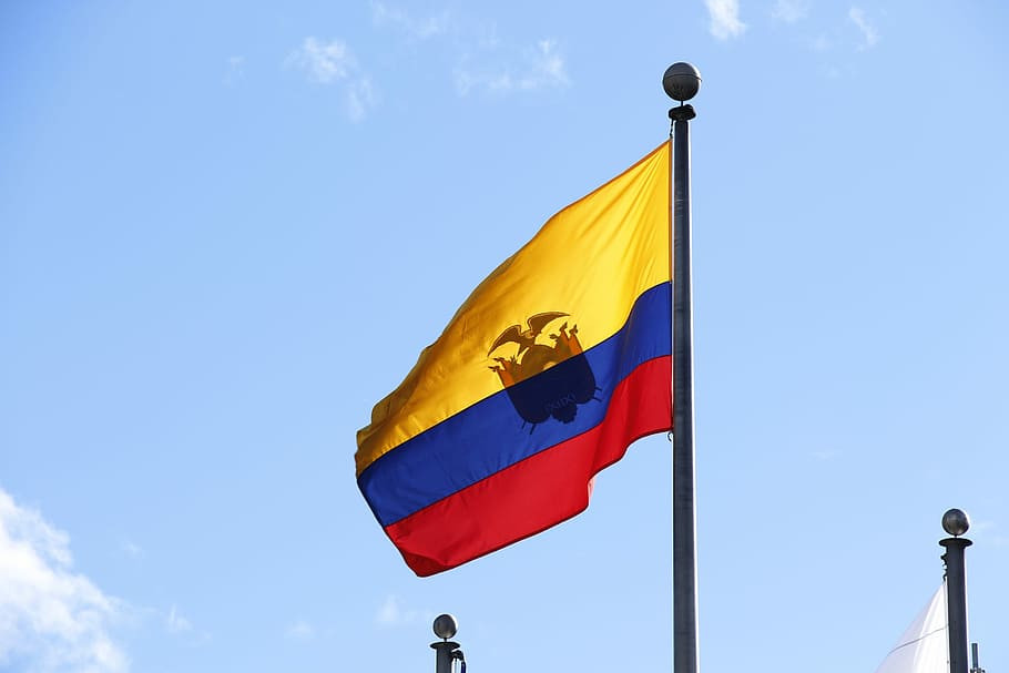 Flag equador home
