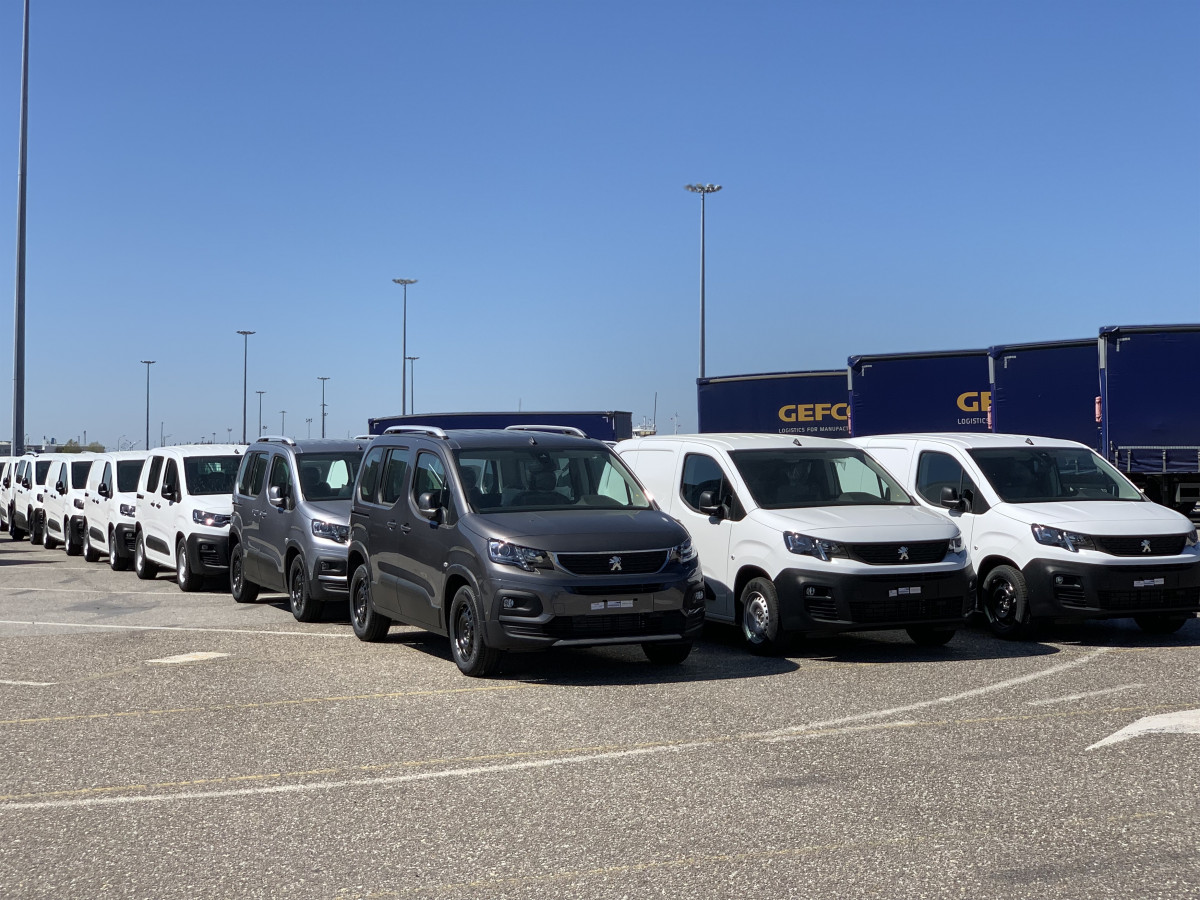 Vehicles preparats per a exportació a la planta de el Grup PSA a Vigo.