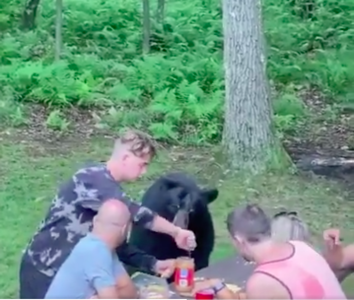 Captura 2020 agost 13 a les 14.49.43