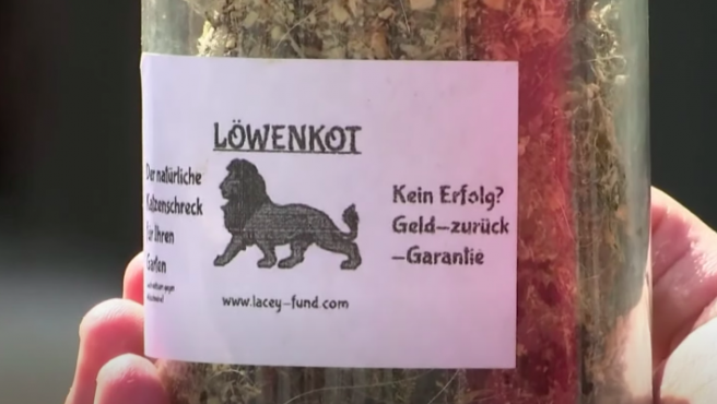 Excrements de leon llistes per a la venda