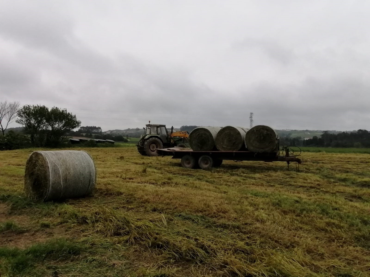 Treballs al camp, rural, agricultura, PAC, tractor.