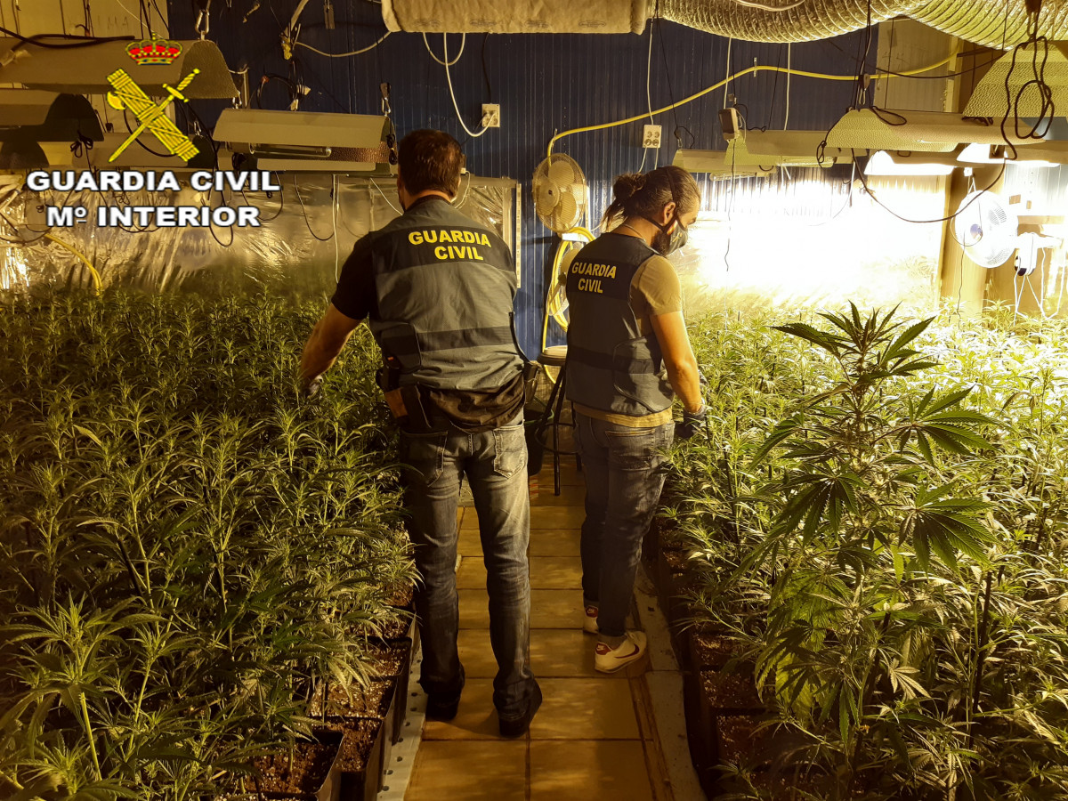 EuropaPress 3333255 trentena detinguts trànsit internacional marihuana catalunya