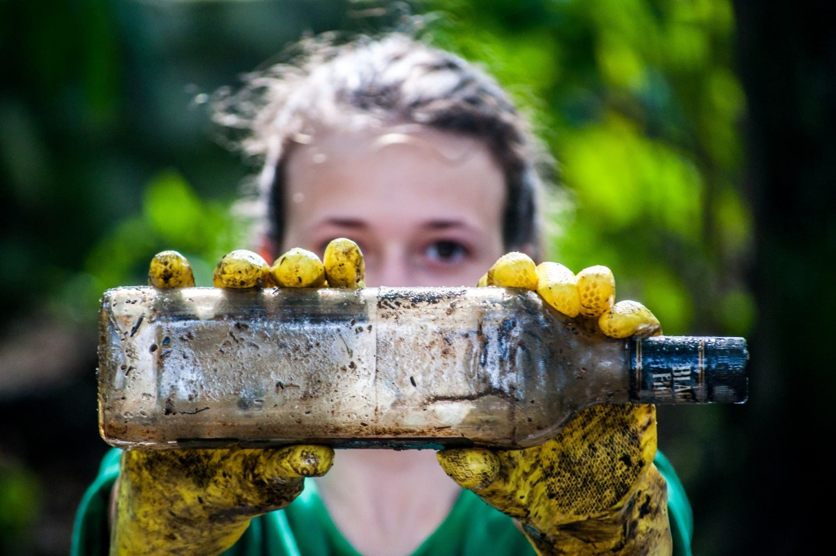 Voluntariat Iberdrola 2020