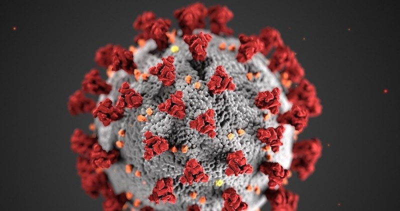 Coronavirus recurs.