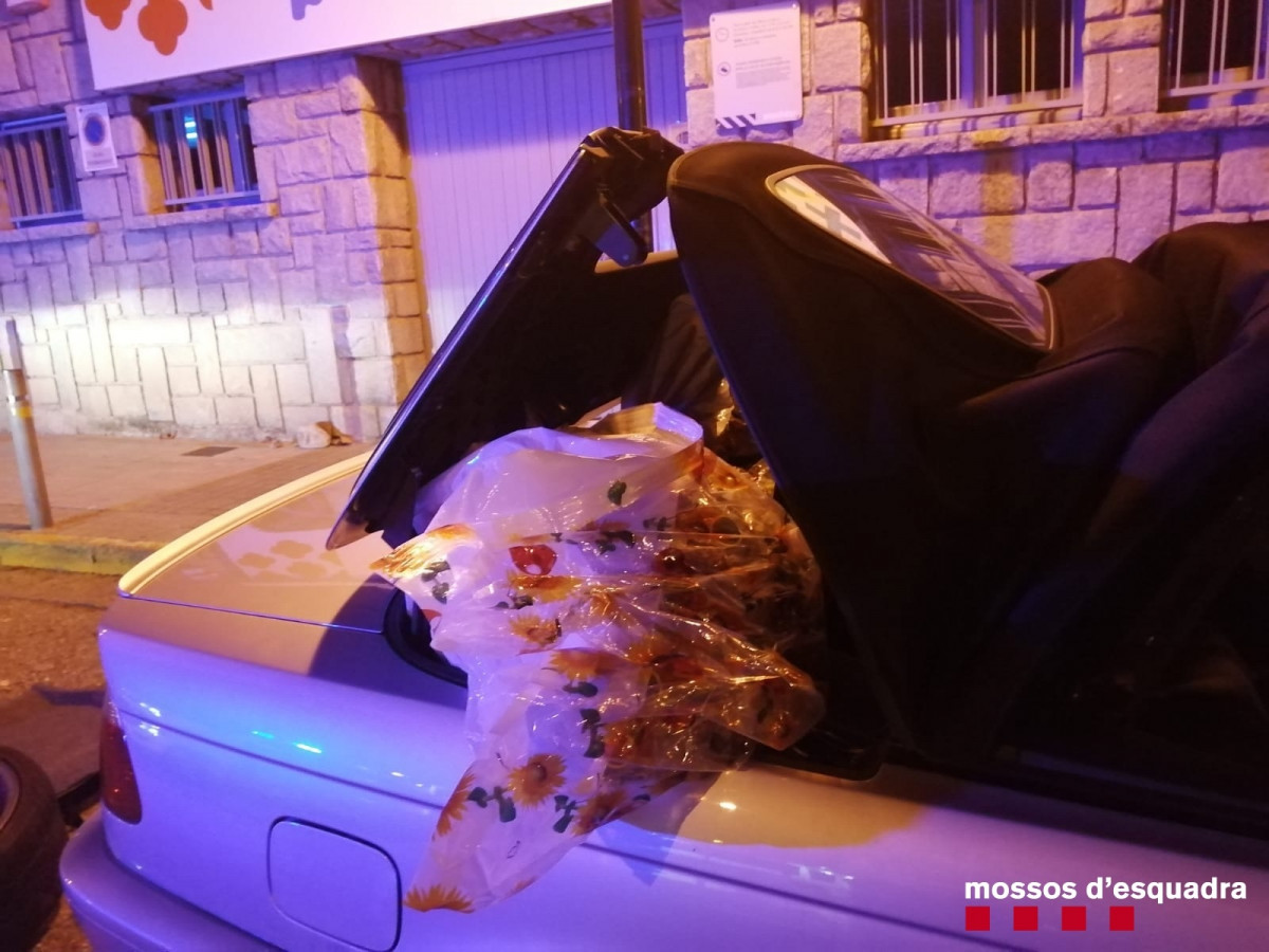 Marihuana localitzada en un Conche al Pont de Suert.