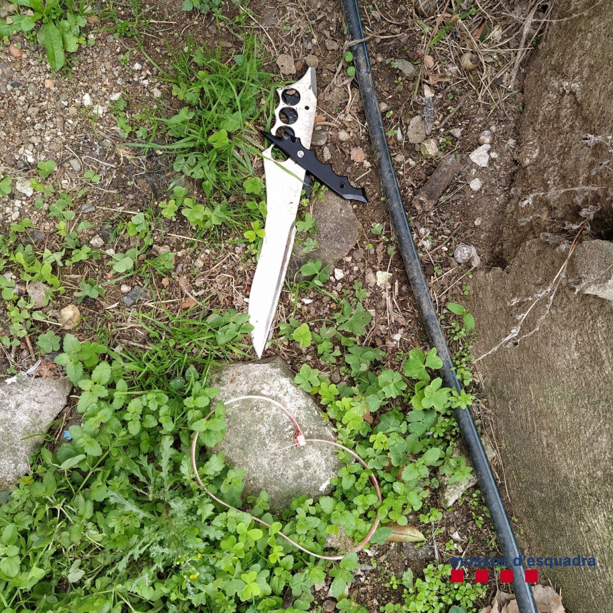 Esdeveniments.- Cinc detinguts per robar en una casa i ferir amb arma blanca el propietari