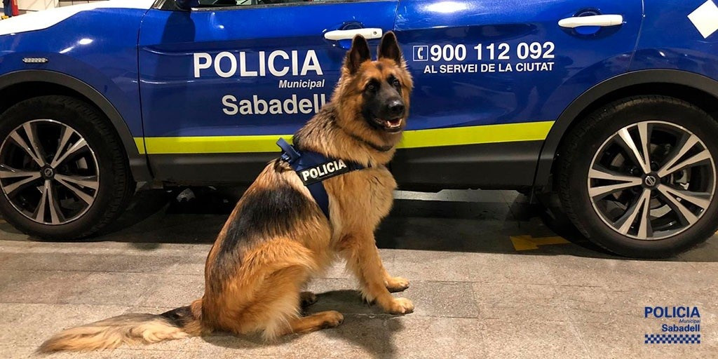 EuropaPress 3424812 gos policia danko policia municipal sabadell