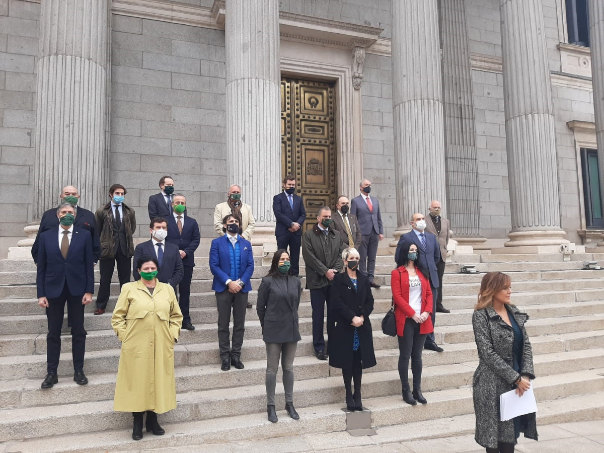 Diputats i diputades de Vox es concentren a la Porta dels Lleons de Congrés amb motiu de l'25N, Dia Internacional de l'eliminació de la violència contra les dones.