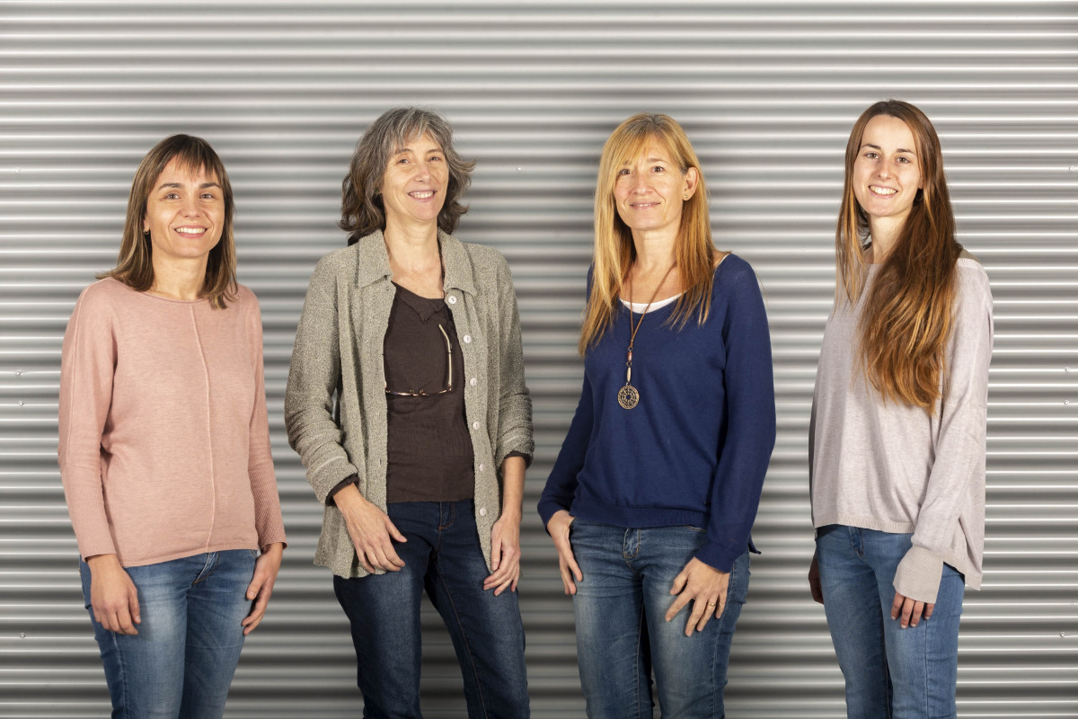 Part de l'equip d'investigadores de la UdG i la UAB que ha descobert un possible benefici de l'estimulació elèctrica de el cervell en malalts de Parkinson