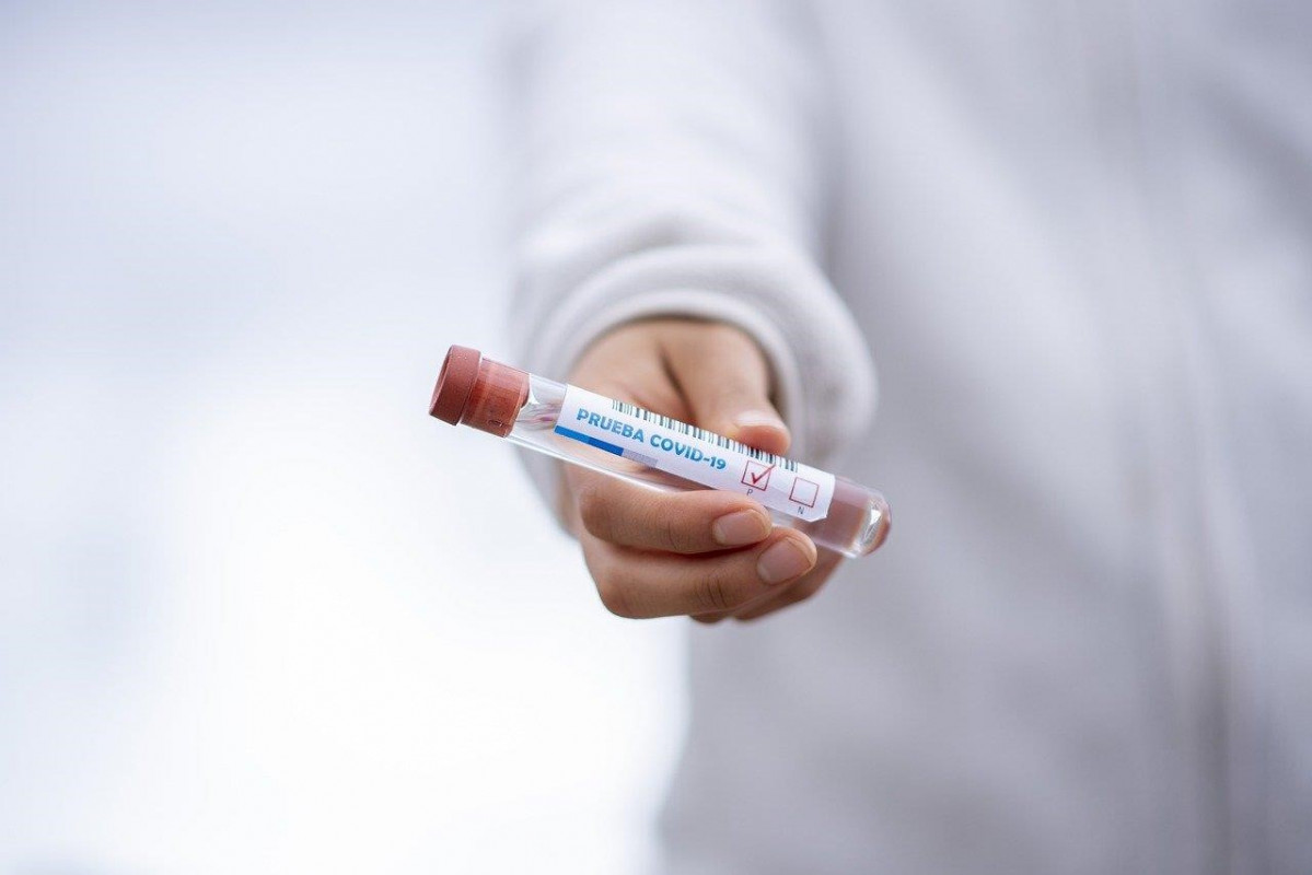 Prova PCR.