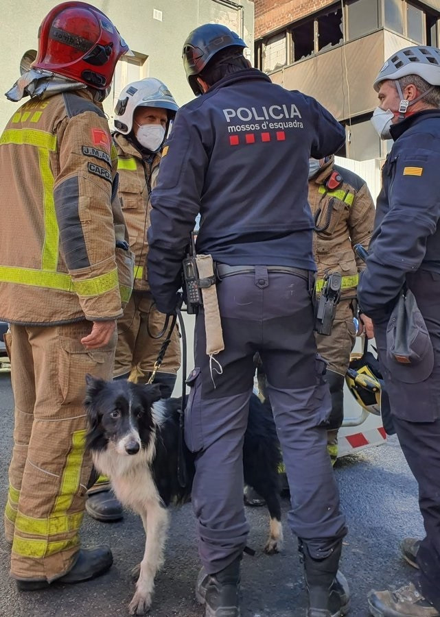 Els Mossos d'Esquadra activen a un gos especialitzat perquè busqui a persones a l'interior de la nau incendiada a Badalona (Barcelona), el 10 de desembre de 2020.