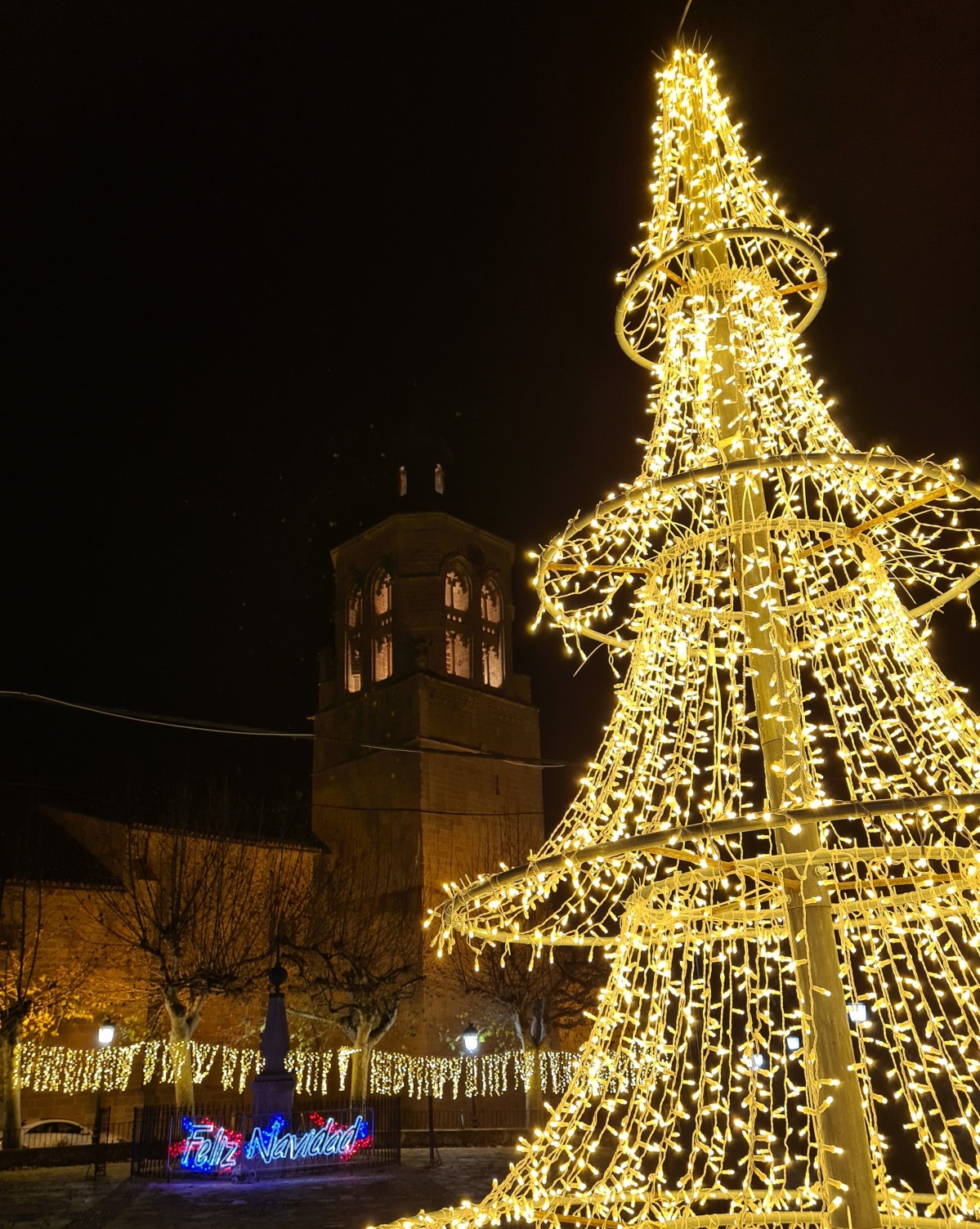 Il·luminació nadalenca. Llums Nadal.