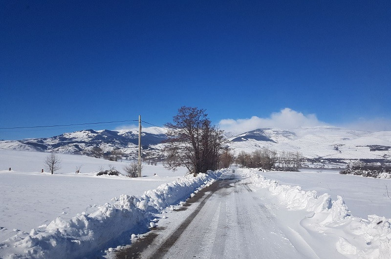 Neu (I) 8.I.21
