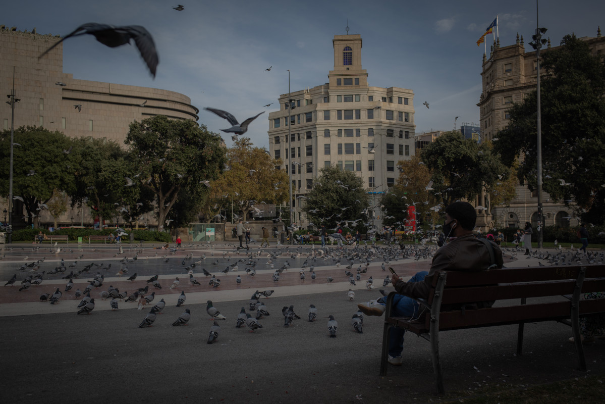 EuropaPress 3435746 home assegut banc plaça catalunya barcelona catalunya espanya 16