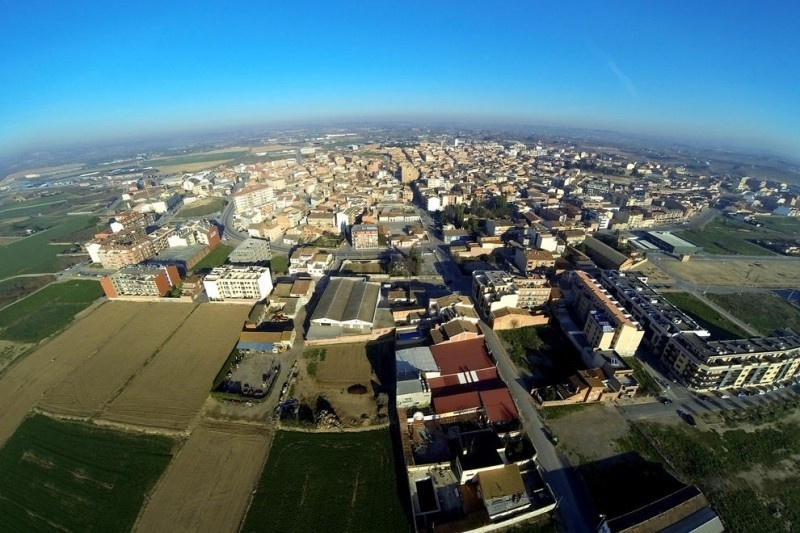 Alcarràs