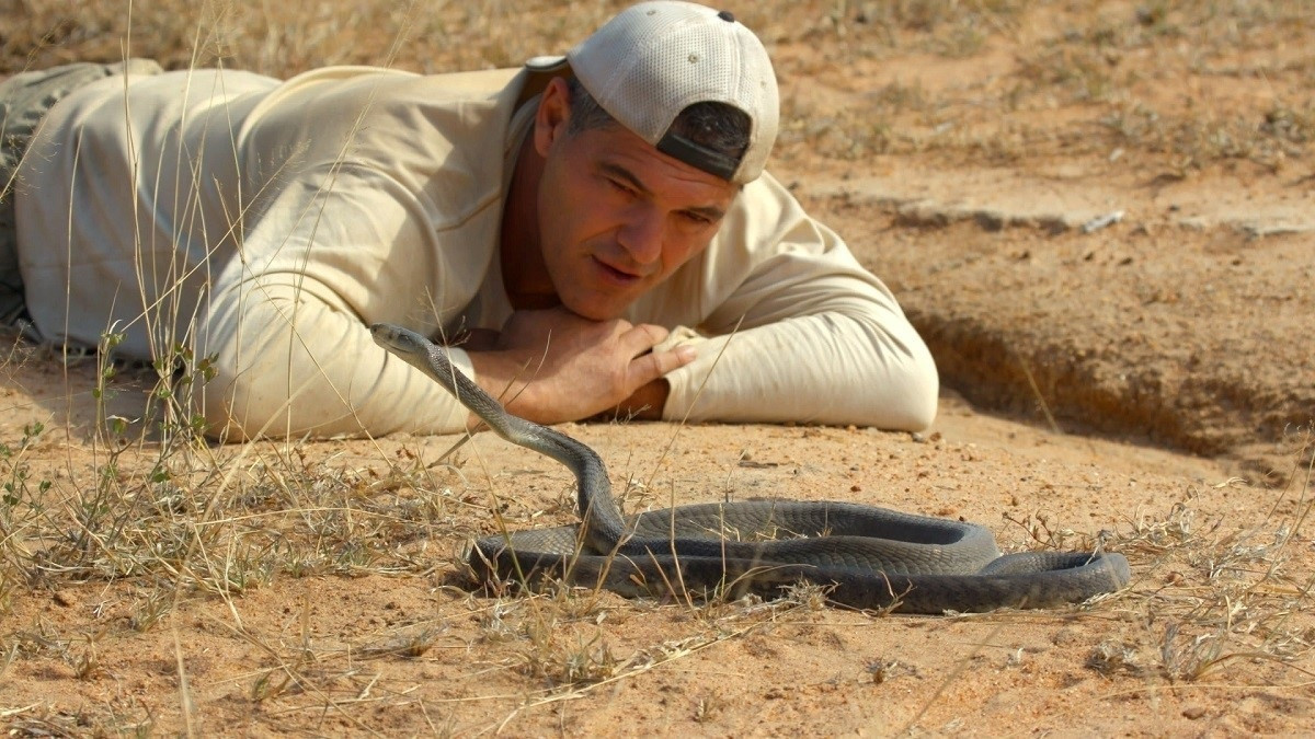 Frank Cuesta i la mamba negra