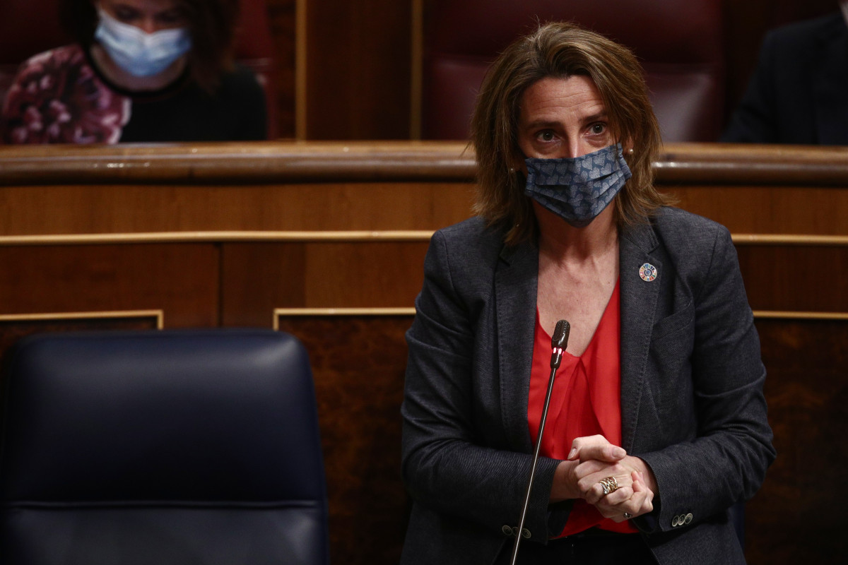 La vicepresidenta quarta i ministra per a la Transició Ecològica i el Repte Demogràfic, Teresa Ribera, intervé durant una sessió de control a Govern al Congrés dels Diputats, a Madrid, (Espanya), a 24 de febrer de 2021. El ple estarà marc