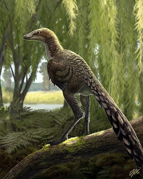 Recreació d'el dinosaure 'Tamarro insperatus'