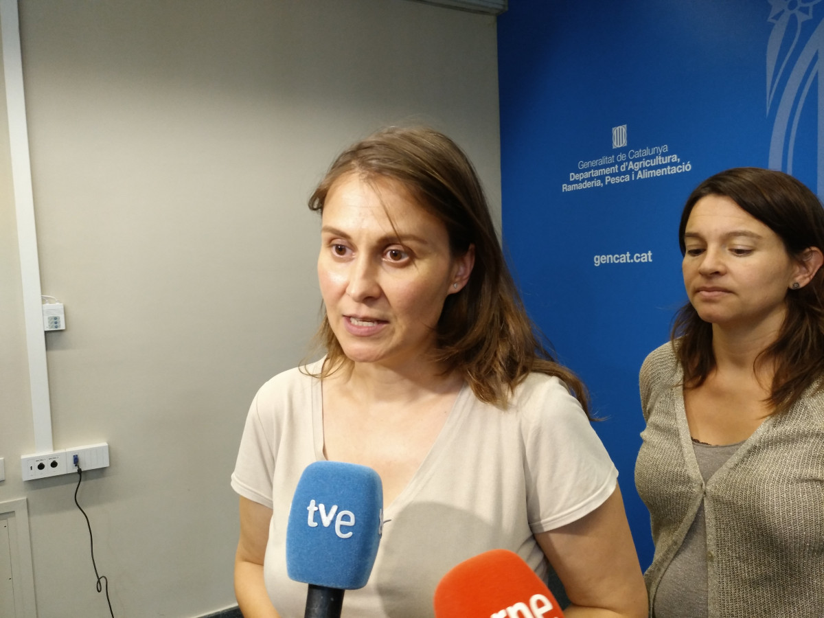 Arxiu - La delegada de la Generalitat davant la UE, Meritxell Serret, en una imatge d'arxiu.