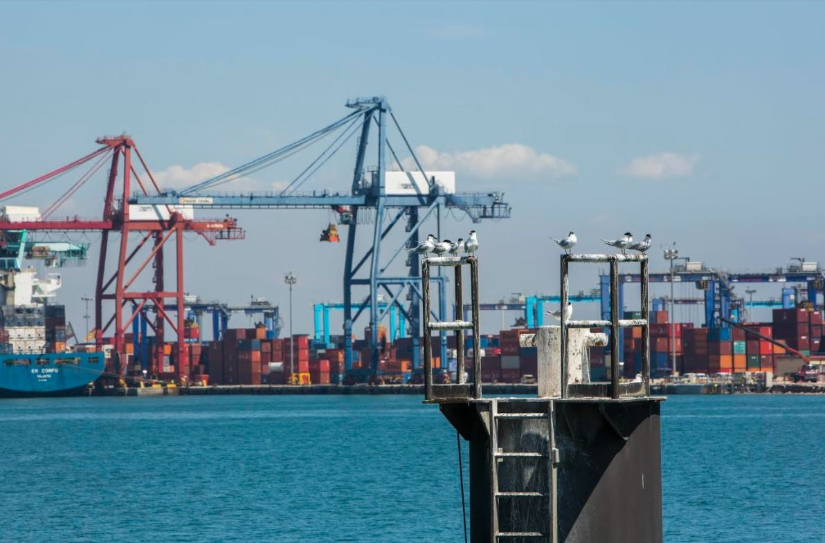 Arxiu - Port de València en imatge d'arxiu