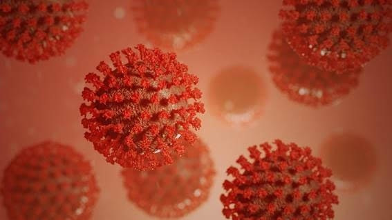 coronavirus