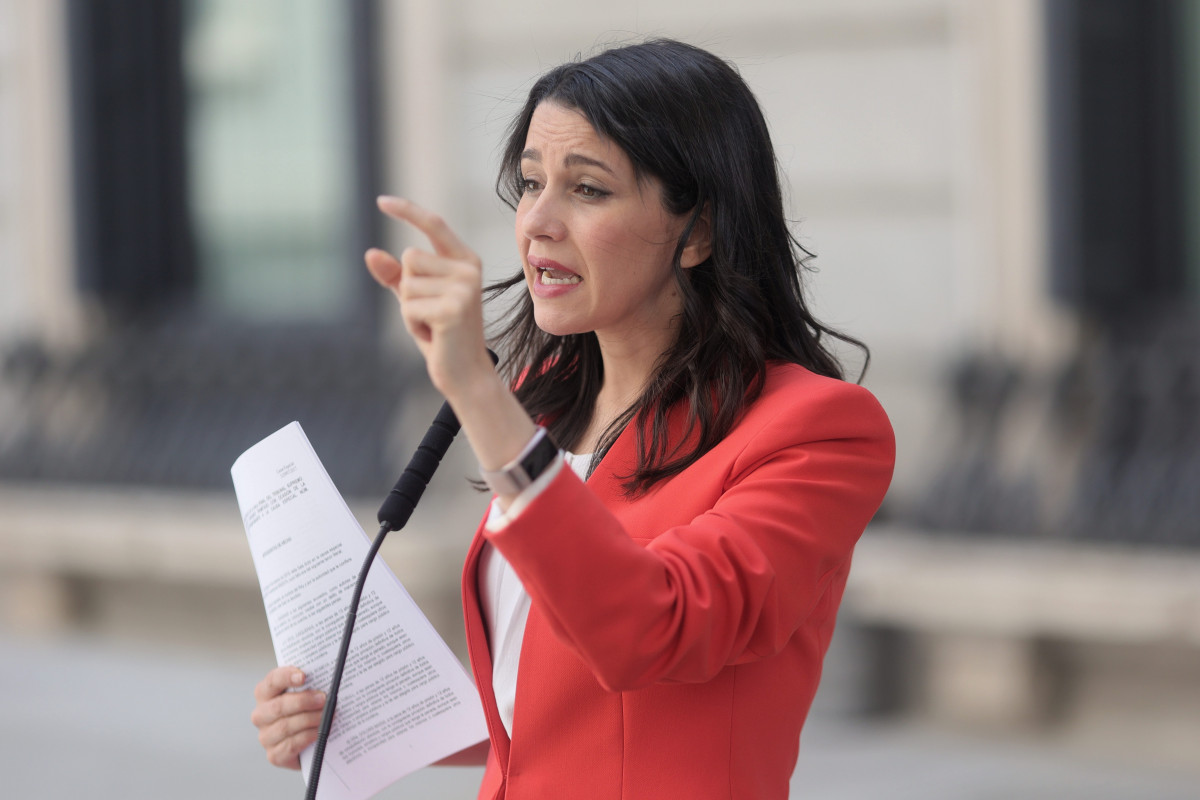 La presidenta de Cs, Inés Acostades.