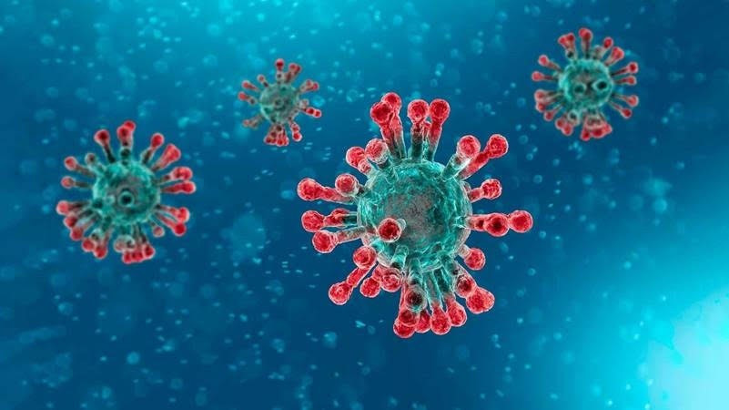 Arxiu - Coronavirus