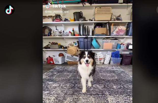 Tiktok