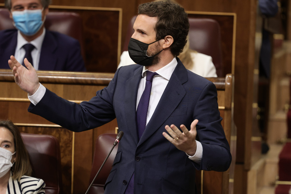 El líder de PP, Pablo Casado, a l'Congrés dels Diputats.