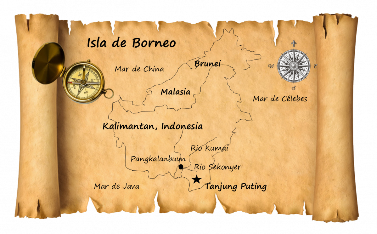 0. Kalimantan
