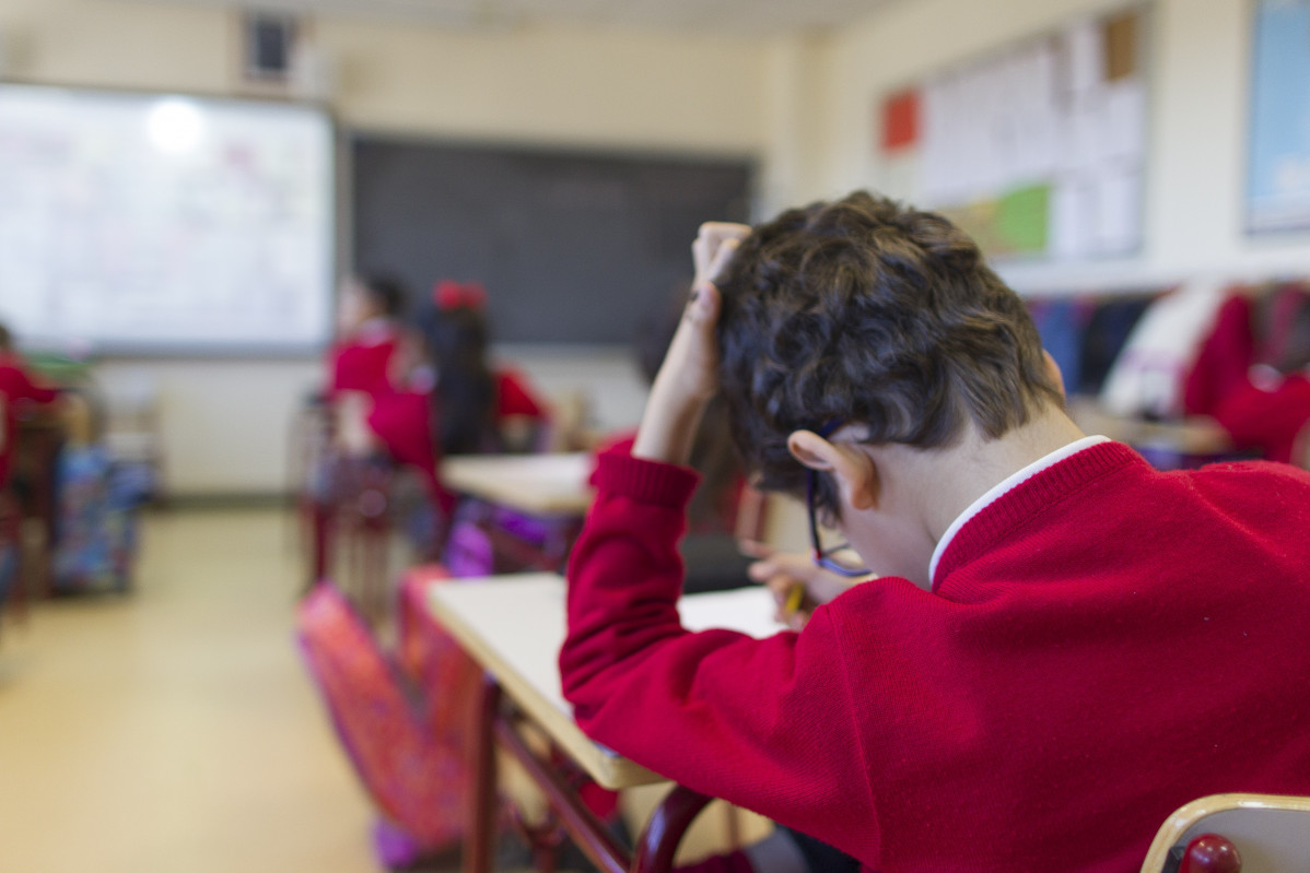 Autisme Espanya demana reforçar l'atenció en col·legis ordinaris després de l'augment
