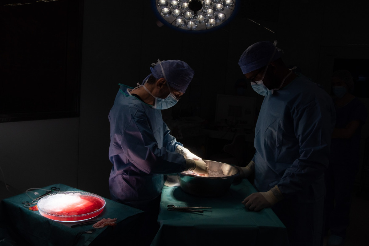Dos professionals realitzen un trasplantament de ronyó de donant viu en un quiròfan de l'Hospital Clínic de Barcelona