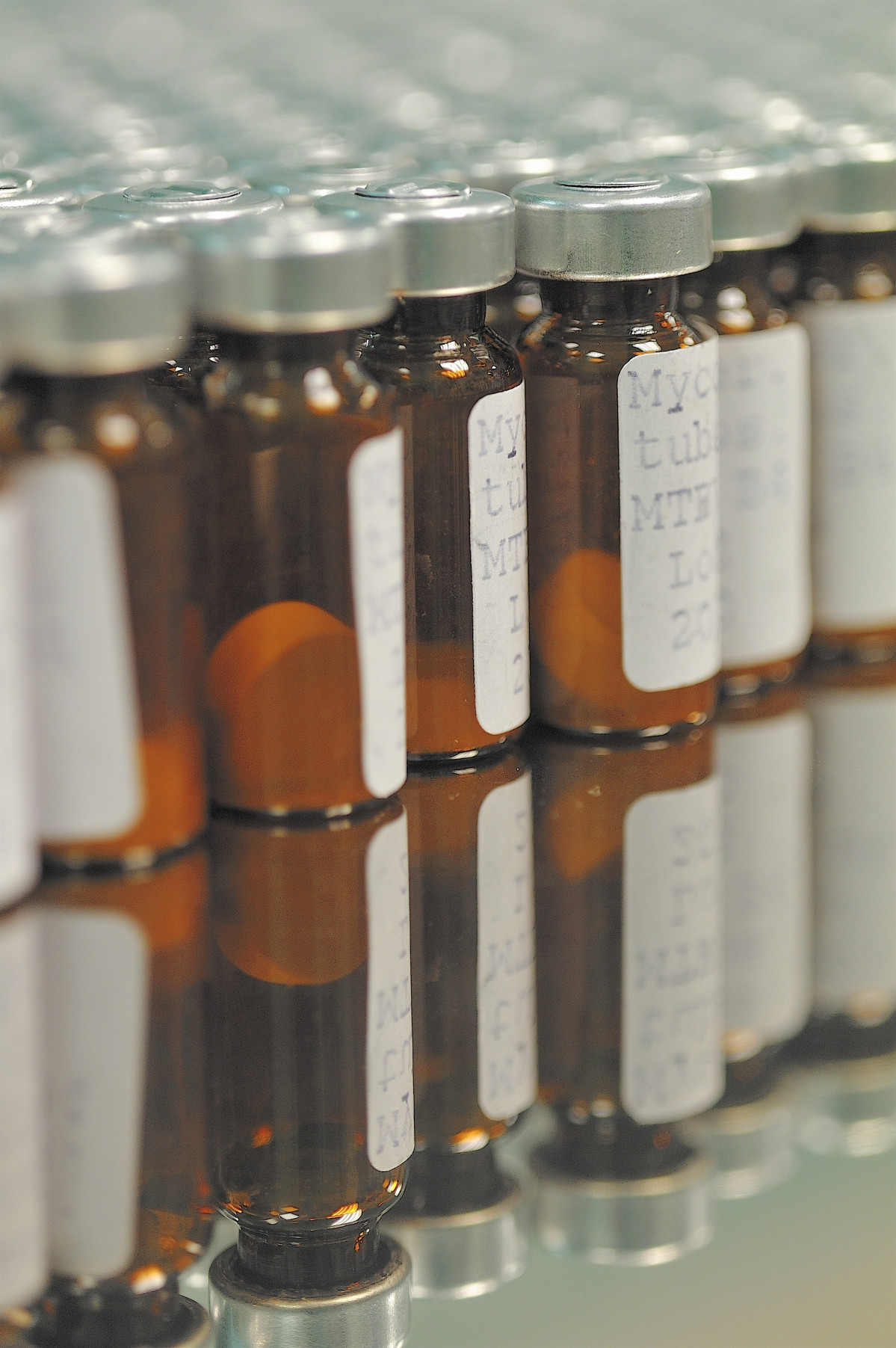 Arxiu - Avenços de la Vacuna espanyola contra la Tuberculosi