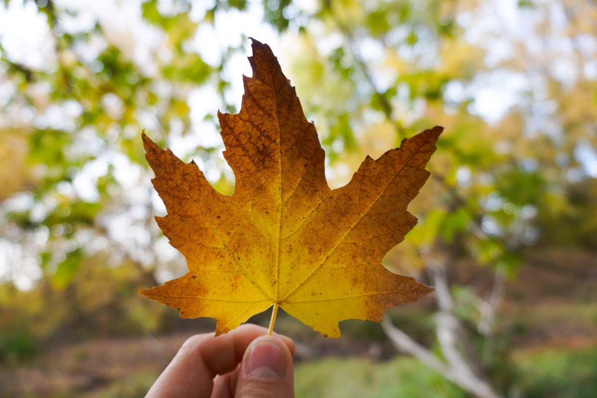 Joel Durkee qu6aS8iJkKo unsplash (1)