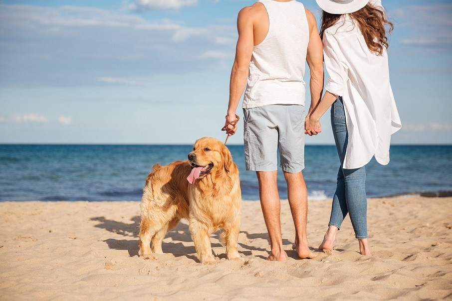 Arxiu - Parella passejant amb un gos a la vora d'al mar.