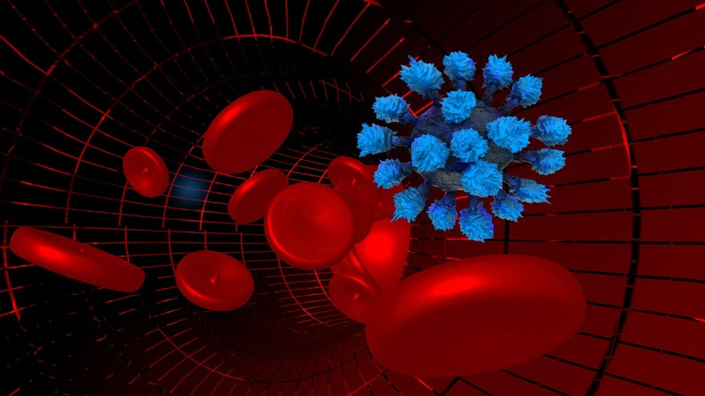 Arxiu - Coronavirus, covid-19 , trombe, artèries