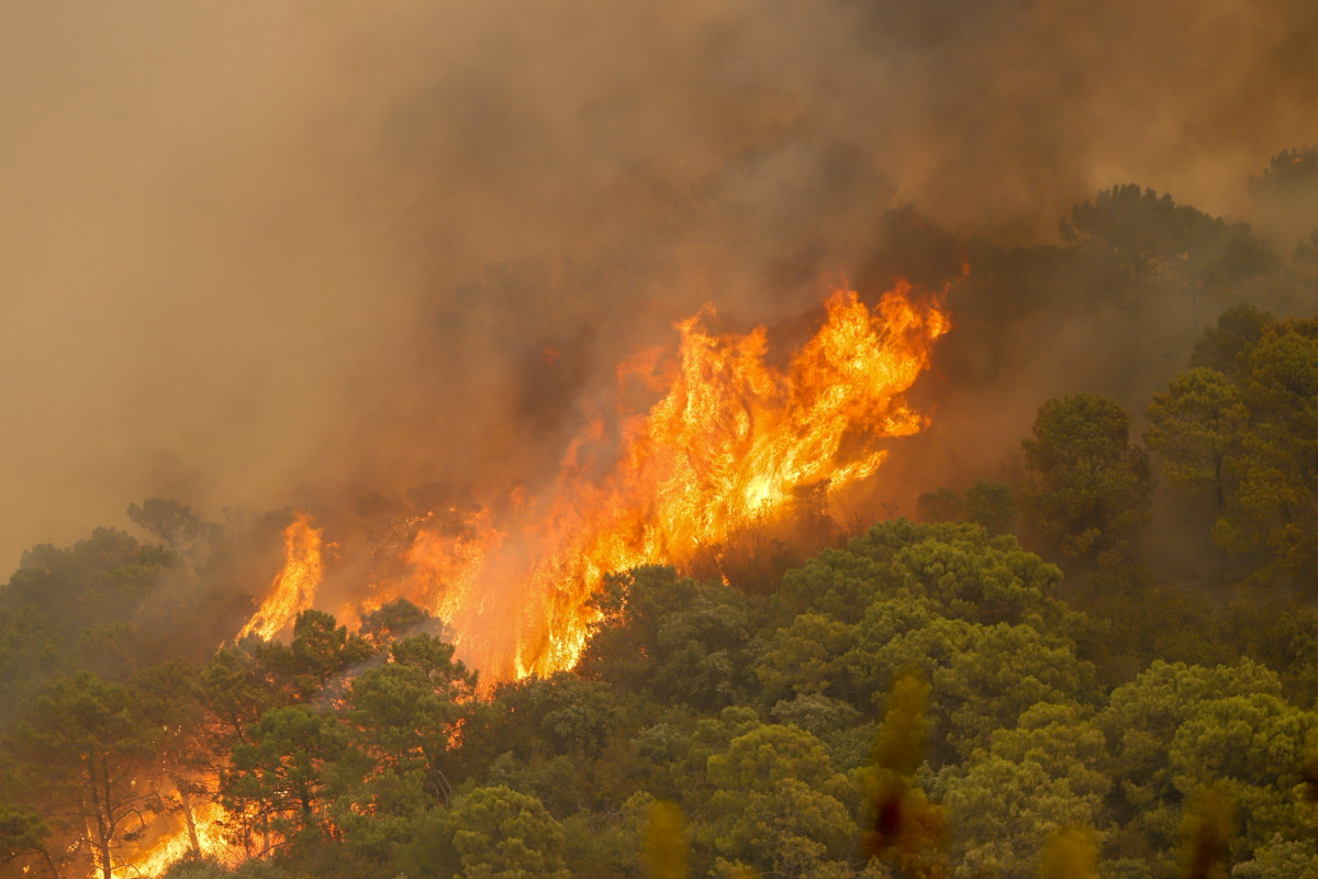 Imatge d'arxiu de l'incendi forestal de Sierra Bermeja