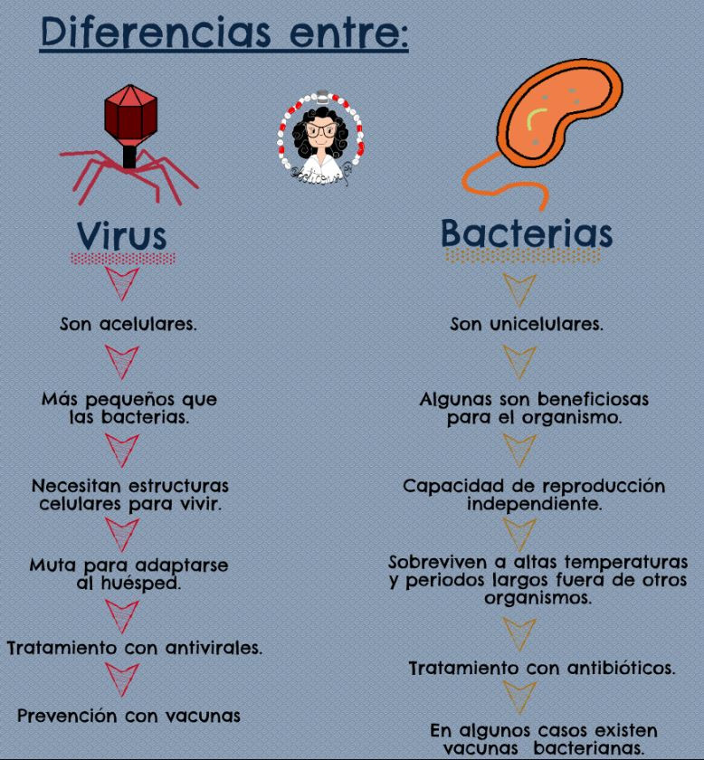 Virus i bacteris