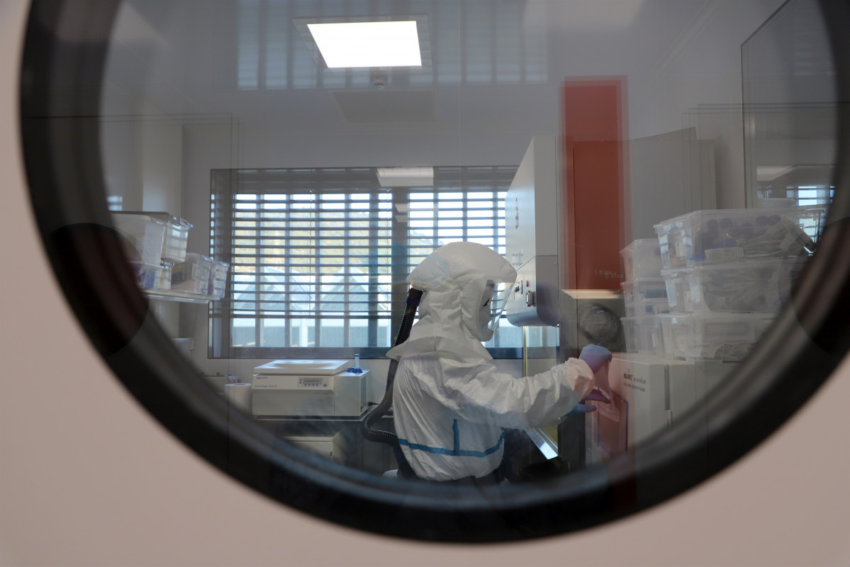 Arxiu - Investigadors inicien un estudi amb organoides de pulmó i cervell, miniòrgans dissenyats al laboratori, que permetran simular una infecció de Covid-19